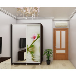 Шкаф-купе Bafimob ДX-160 Фотопечать 1 Thumb