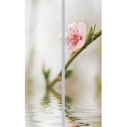 Шкаф-купе Bafimob ДX-160 Фотопечать 2 Thumb