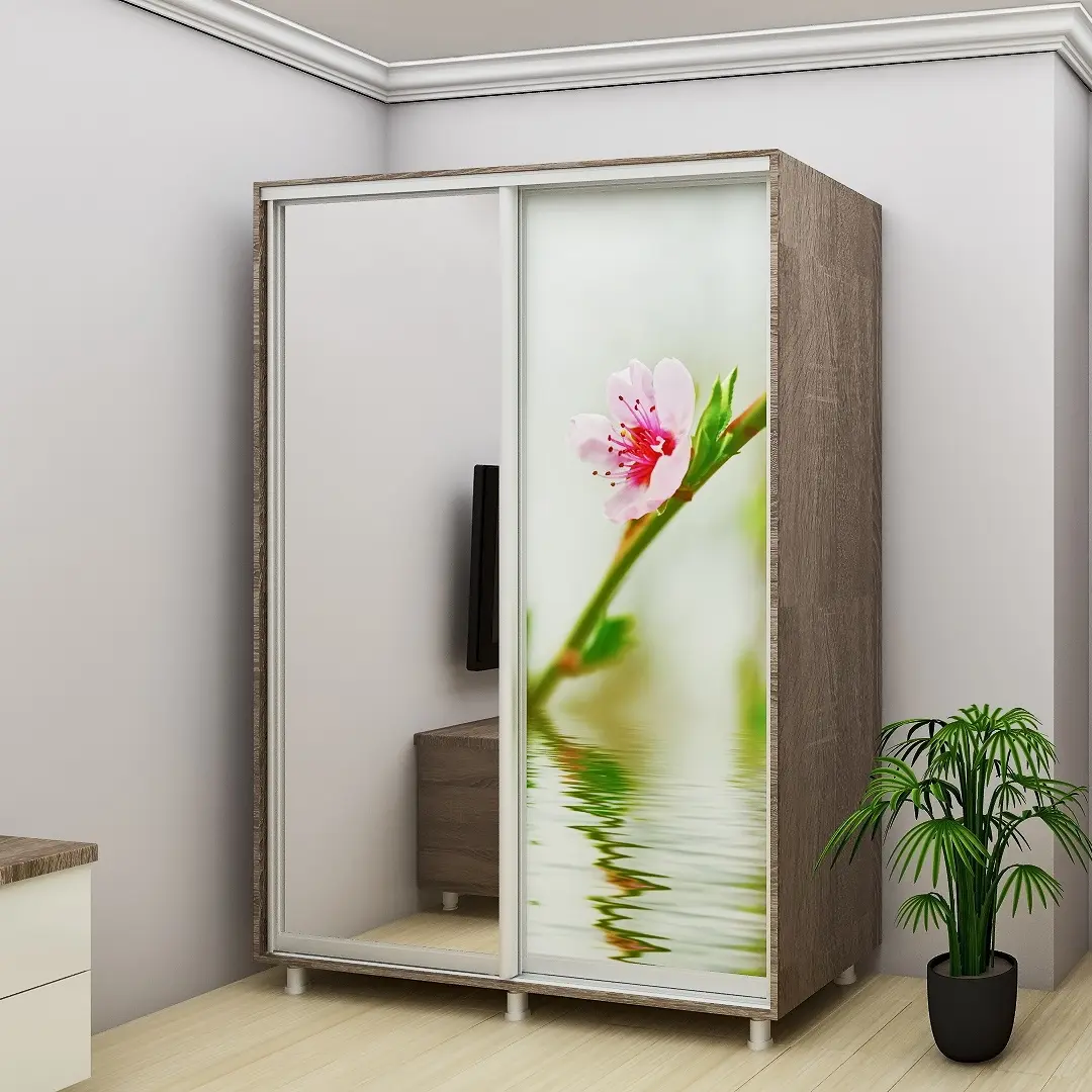 Шкаф-купе Bafimob ДX-180 Фотопечать 1