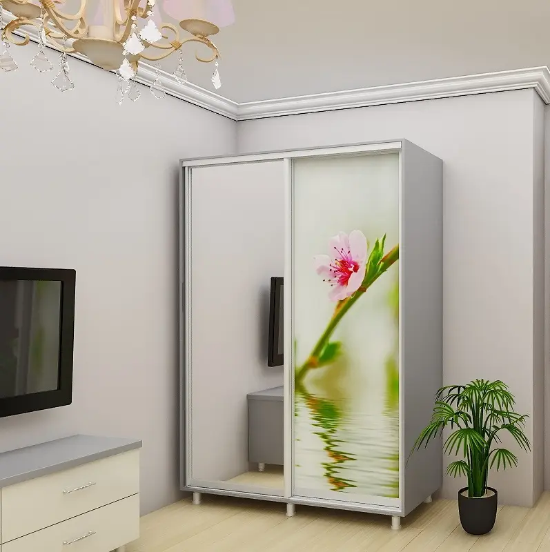 Dulap-cupe Bafimob DY-200 Imprimare foto 1 (Grey/Light Grey)