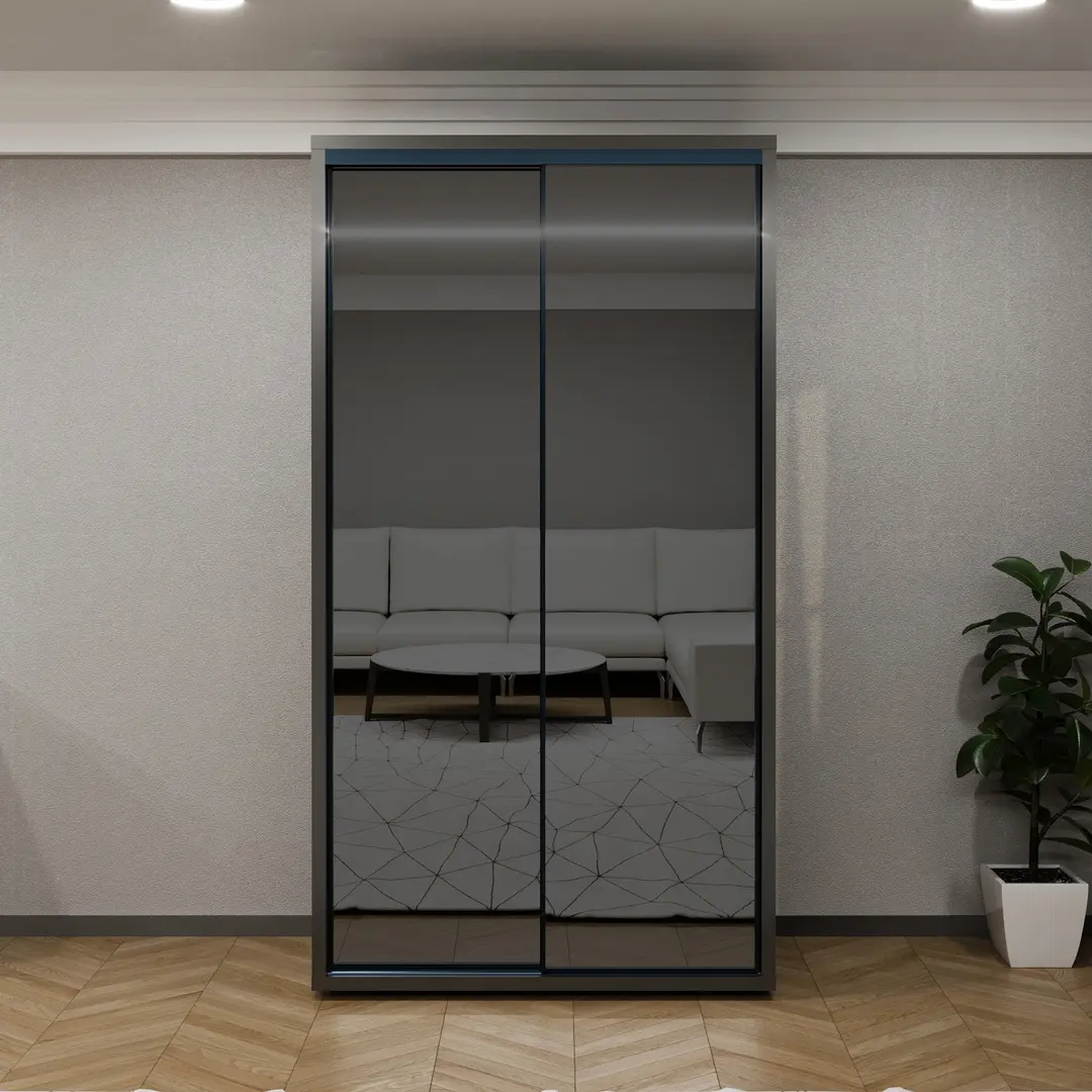 Шкаф-купе Bayro Parma 120x225x60 (Anthracite/Graphite)