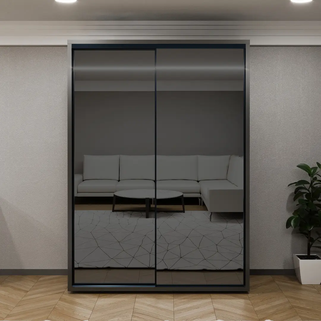 Шкаф-купе Bayro Parma 160x225x60 (Anthracite/Graphite)