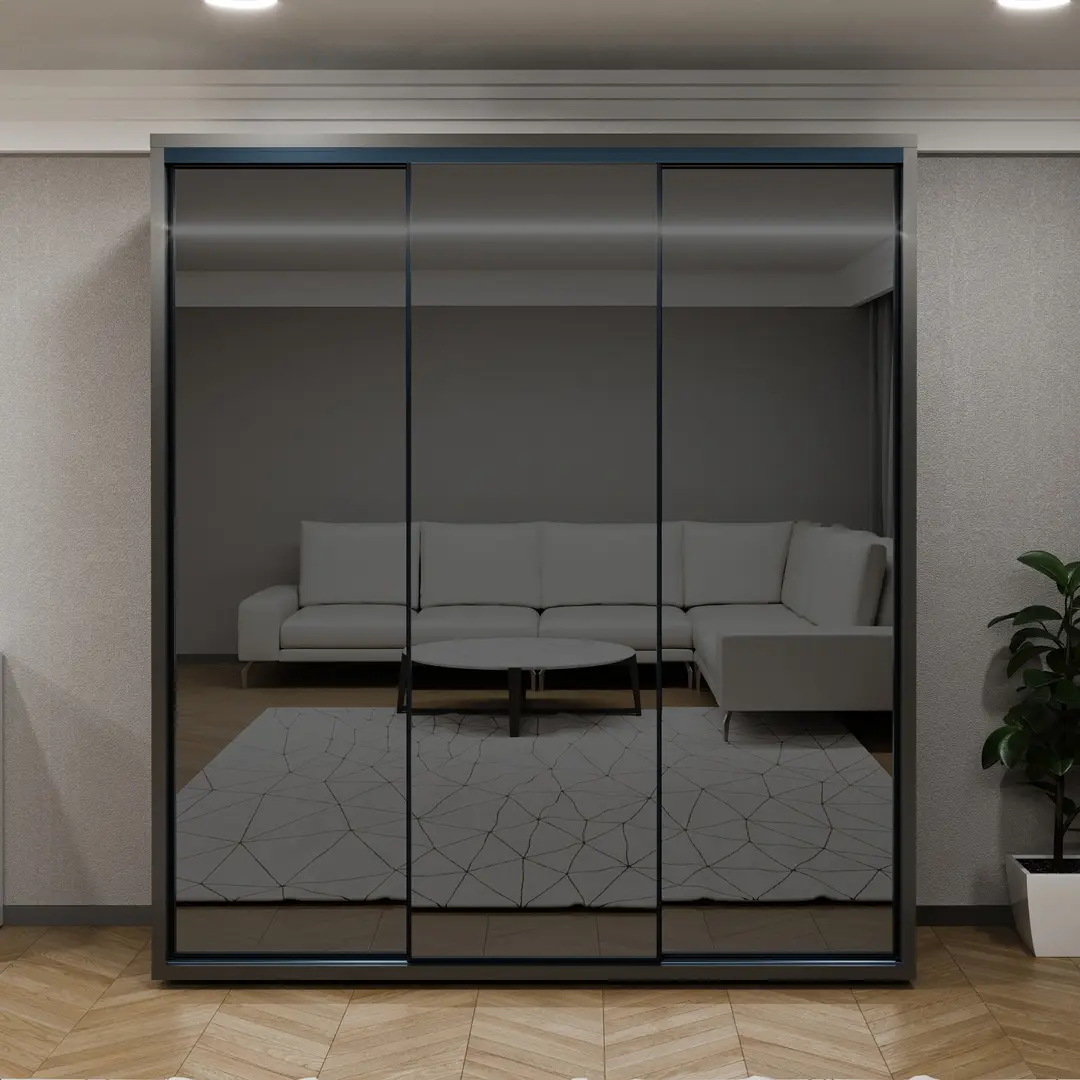 Шкаф-купе Bayro Parma 200x225x60 (Anthracite/Graphite)