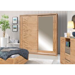 Шкаф-купе Fadome Tokyo TK4-200 (Lancelot) Thumb