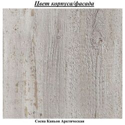 Шкаф-купе Helvetia Alfa 224A1578 (Сосна Каньон Арктическая) Thumb