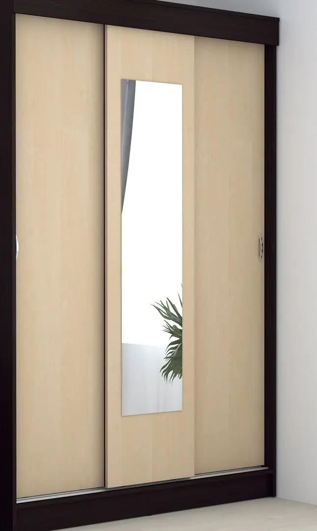 Шкаф-купе Marcel Prod Basia RO (Wenge/Birch)