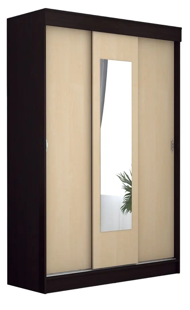 Шкаф-купе Marcel Prod Basia RO (Wenge/Birch)