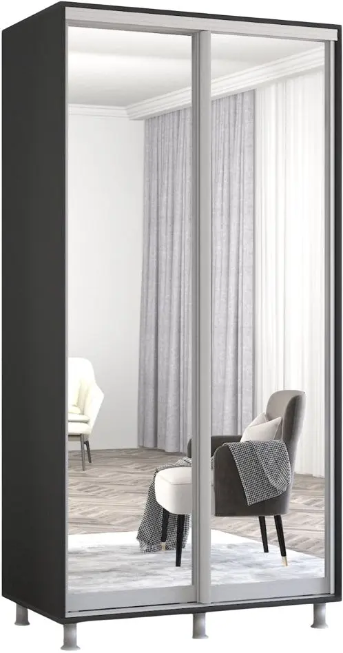 Шкаф-купе Mobildor Aron 2 зеркальные двери 120x240x60 (Anthracite) - 2