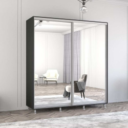 Шкаф-купе Mobildor Aron-P 2 зеркальные двери 200x210x60 (Anthracite)