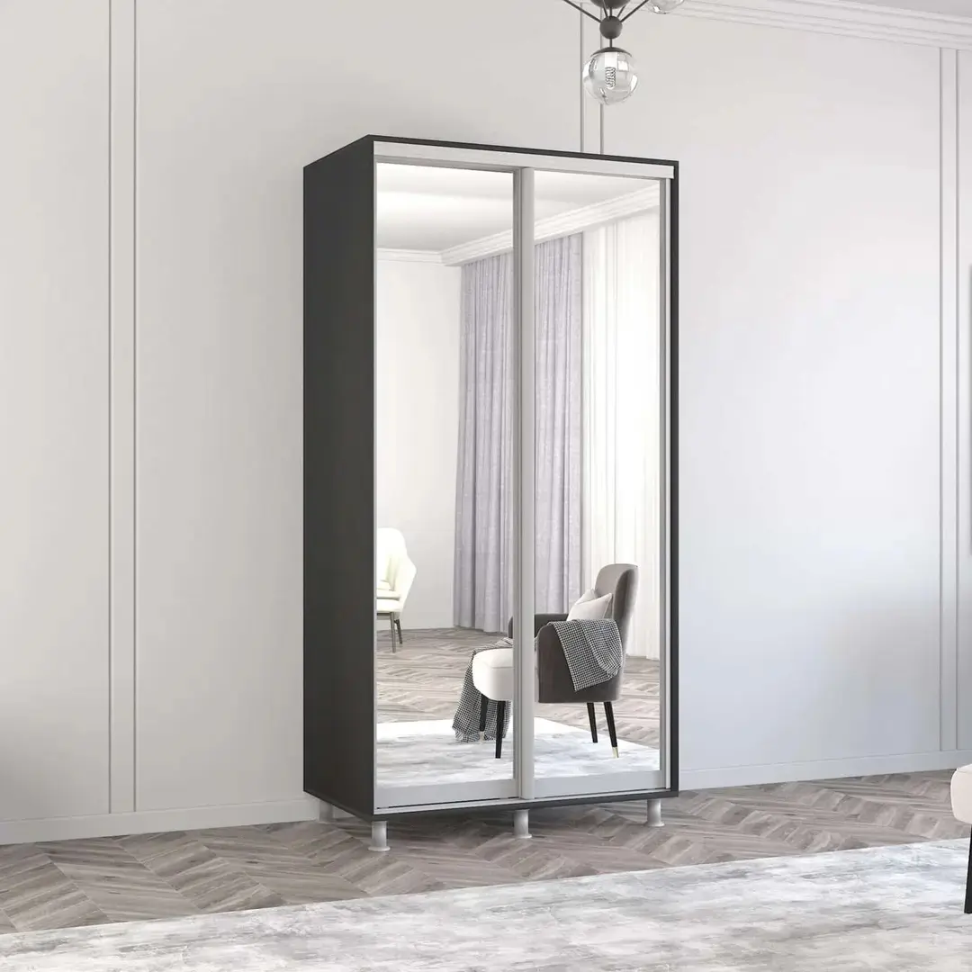 Шкаф-купе Mobildor Aron-S 2 зеркальные двери 110x230x60 (Anthracite)