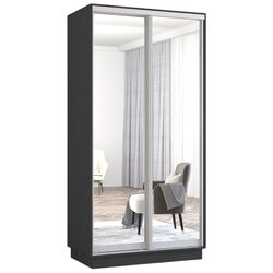 Шкаф-купе Mobildor Fox 2 зеркалa 100x220x60 (Anthracite) Thumb