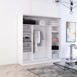 Шкаф-купе Mobildor Fox 2 зеркальные двери 200x220x60 (White) Thumb