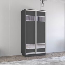 Dulap-cupe Mobildor Fox 2D PAL/elemente din oglinda 100x200x60 (Anthracite)