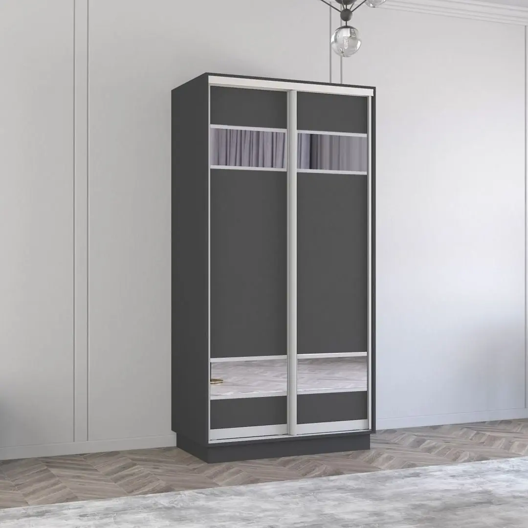 Dulap-cupe Mobildor Fox 2D PAL/elemente din oglinda 100x200x60 (Anthracite)