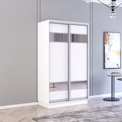 Шкаф-купе Mobildor Fox 2D ДСП/зеркальные элементы 110x210x60 (White)