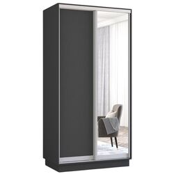 Шкаф-купе Mobildor Fox 2D 1 зеркало/1 ДСП 110x230x60 (Anthracite) Thumb