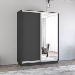 Шкаф-купе Mobildor Fox 2D 1 зеркало/1 ДСП 170x230x60 (Anthracite)