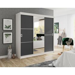 Шкаф-купе Prime Furniture Bill 2 200x205x59 (White/Graphite)