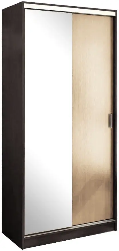 Dulap-cupe Стендмебель Alyans 100x220x60 (Belford Oak/Wenge)