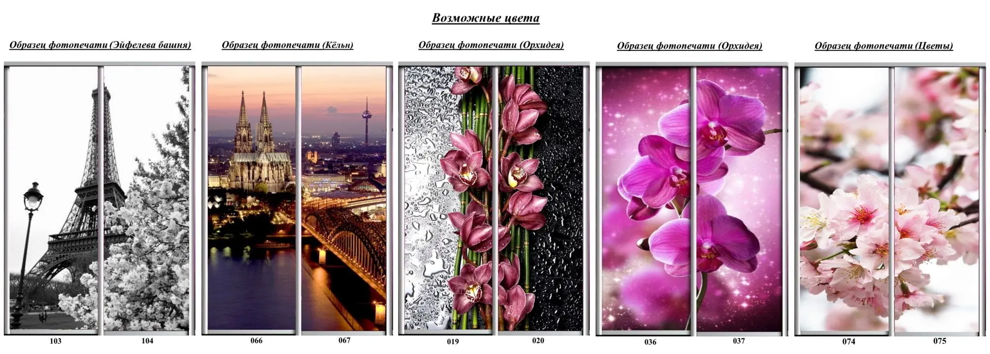 Шкаф-купе Yasen Люкс 120х220х60 Анжелик/Венге (с фотопечатью) - 3