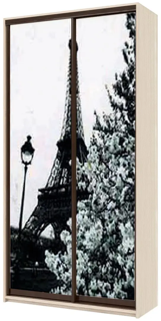 Шкаф-купе Yasen Люкс 120х220х60 Анжелик/Венге (с фотопечатью)