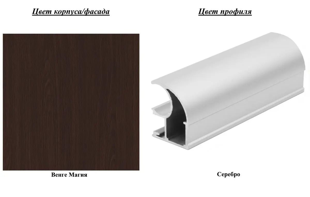 Dulap-cupe Yasen Lyuks 180х220х60 Wenge Magic/Silver (cu imprimare foto) - 3