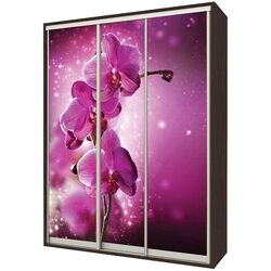 Dulap-cupe Yasen Lyuks 180х220х60 Wenge Magic/Silver (cu imprimare foto)