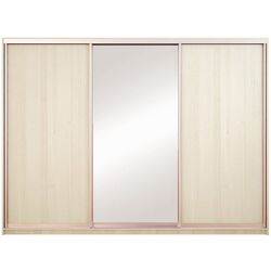 Шкаф-купе Yasen Люкс 2 240х240х60 (Анжелик/Серебро)