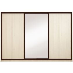 Шкаф-купе Yasen Люкс 2 240х240х60 (Анжелик/Венге)