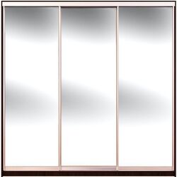 Dulap-cupe Yasen Lyuks 3 180х220х60 (Wenge Magic/Silver)