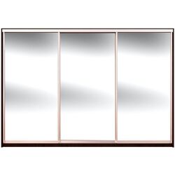 Dulap-cupe Yasen Lyuks 3 240х220х60 (Wenge Magic/Silver)