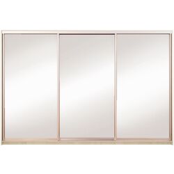 Шкаф-купе Yasen Люкс 3 240х240х60 (Анжелик/Серебро)