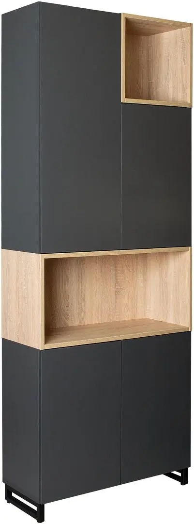 Шкаф DP EvoCab 80x34x220 (Black/Wood)