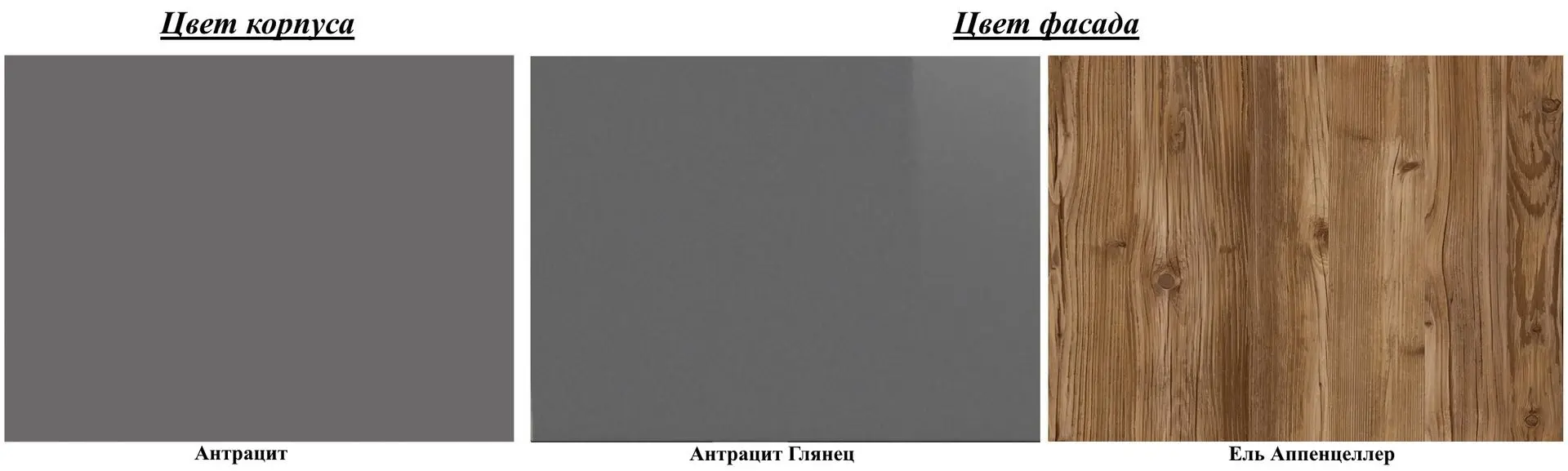 Dulap Helvetia Hektor №21 5D (Anthracite/Anthracite Gloss) - 2