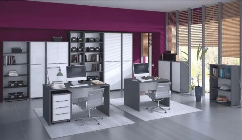 Шкаф Tempo Kondela Rioma New Typ 07 (Graphite/White)