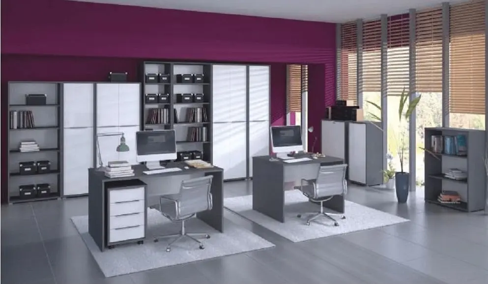 Шкаф Tempo Kondela Rioma Typ 05 (Graphite/White)