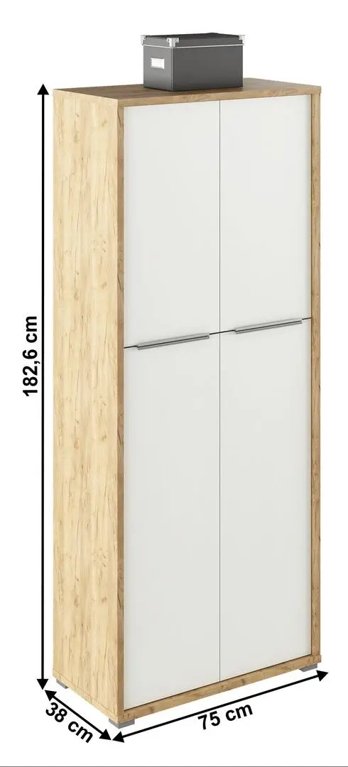 Шкаф Tempo Kondela Rioma Typ 07 (Artisan Oak/White)