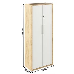 Шкаф Tempo Kondela Rioma Typ 31 (Artisan Oak/White) Thumb