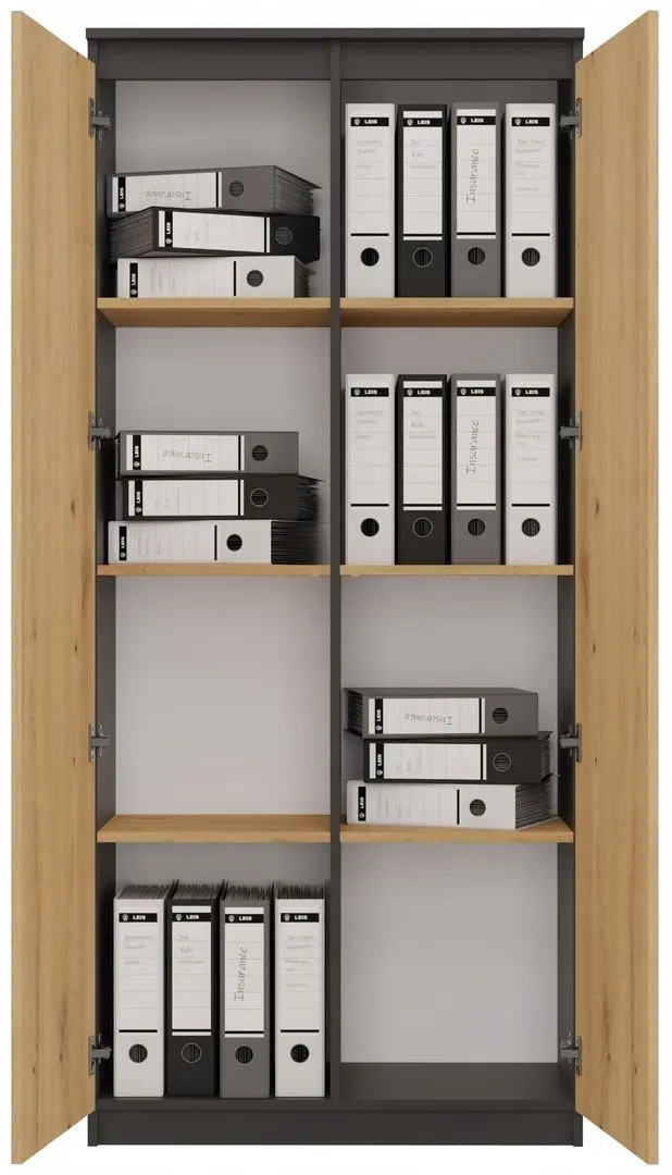 Шкаф TopEshop RS-80 Hemn (Anthracite/Artisan Oak)