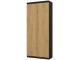 Dulap TopEshop RS-80 Hemn (Anthracite/Artisan Oak)