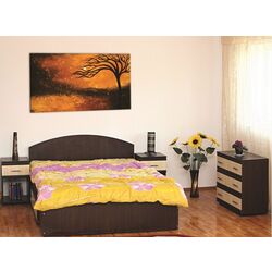 Спальня Marcel Prod Valy (Wenge/Birch) Thumb