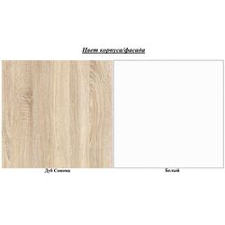 Raft suspendat ASM Dino DSW DI-07 (Sonoma Oak/White Matt) Thumb