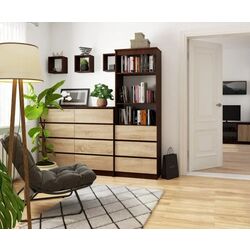 Etajera Akord R60 3SZ2P (Wenge/Sonoma Oak) Thumb