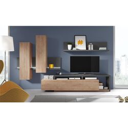 Полка + пенал Helvetia Bota №04 1D (Anthracite/Ribbeck Oak) Thumb