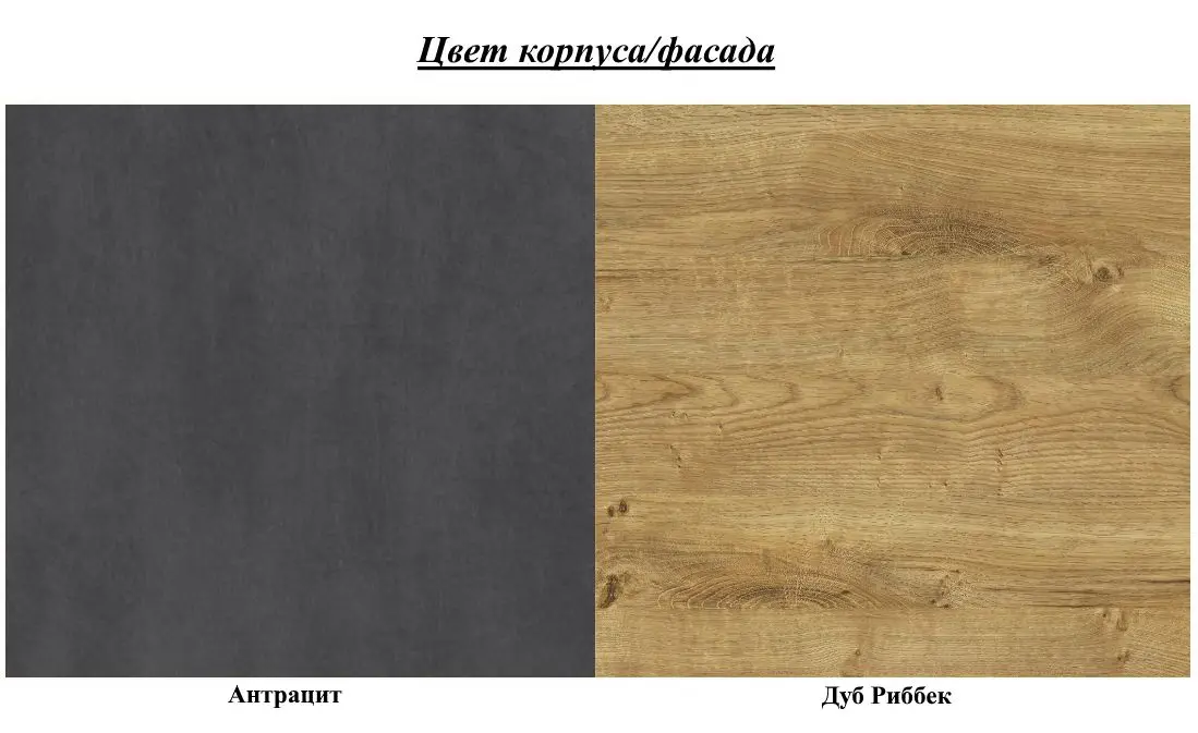 Полка + пенал Helvetia Bota №04 1D (Anthracite/Ribbeck Oak)