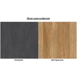 Raft Helvetia Toledo №02 170 (Anthracite/Grandson Oak) Thumb