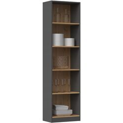 Etajera TopEshop R-50 (Anthracite/Artisan Oak) Thumb