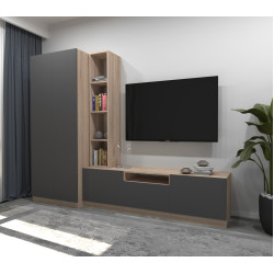 Гостиная Arta Mobilei G03 AM114 (Sonoma Oak/Graphite) Thumb