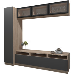 Гостиная Arta Mobilei G04 AM115 (Sonoma Oak/Graphite) Thumb