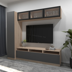 Гостиная Arta Mobilei G04 AM115 (Sonoma Oak/Graphite)